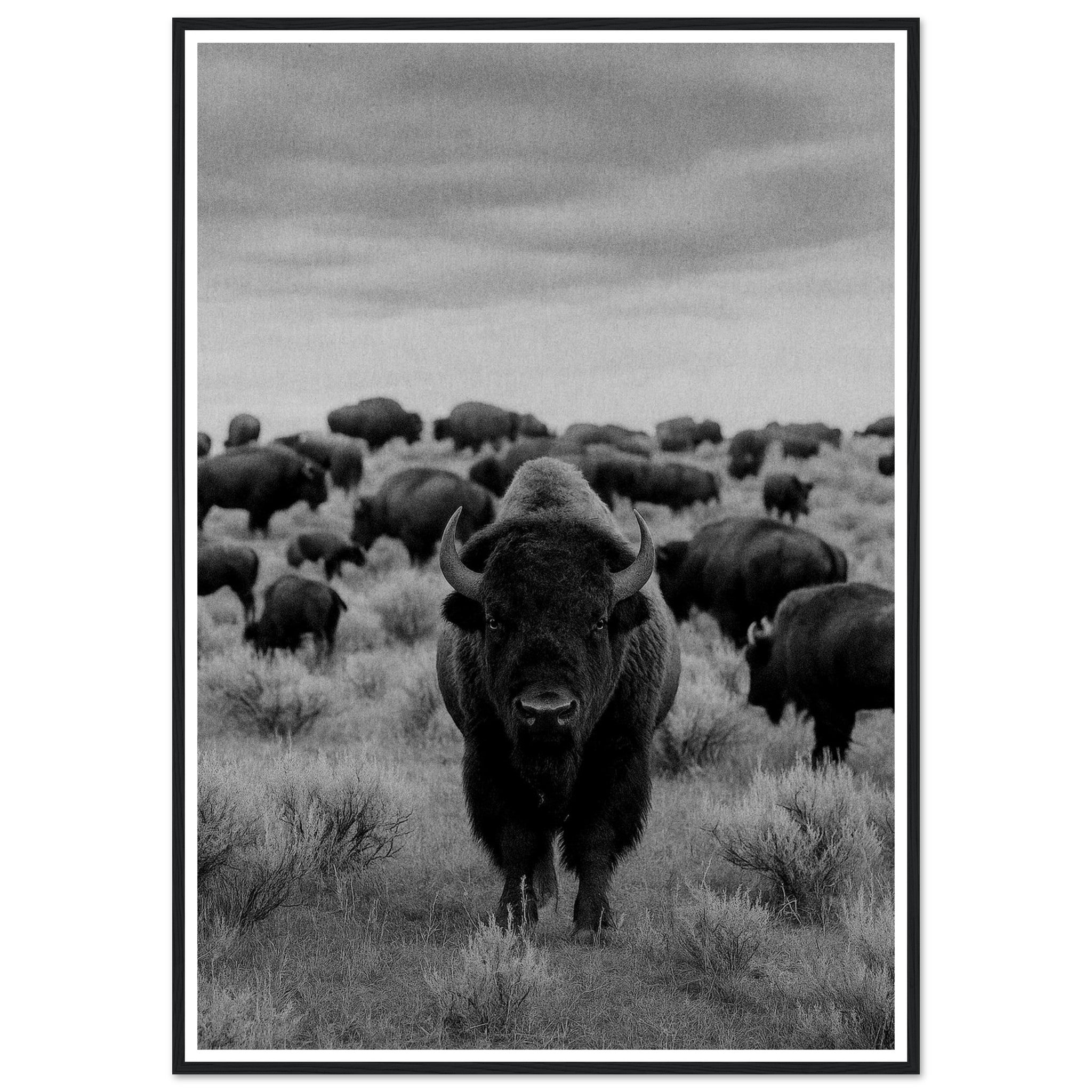 d6fbef20-8877-4fdc-b623-e93660549222