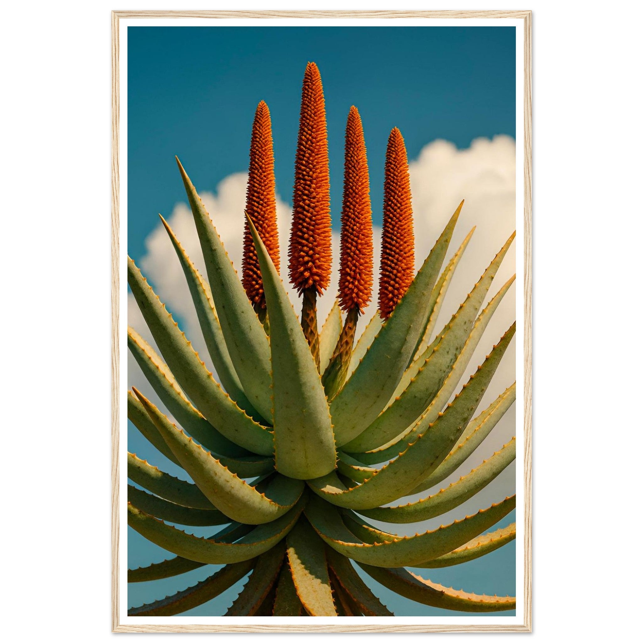 d8d68779-4cb9-429e-abf5-8b3ce872dd42