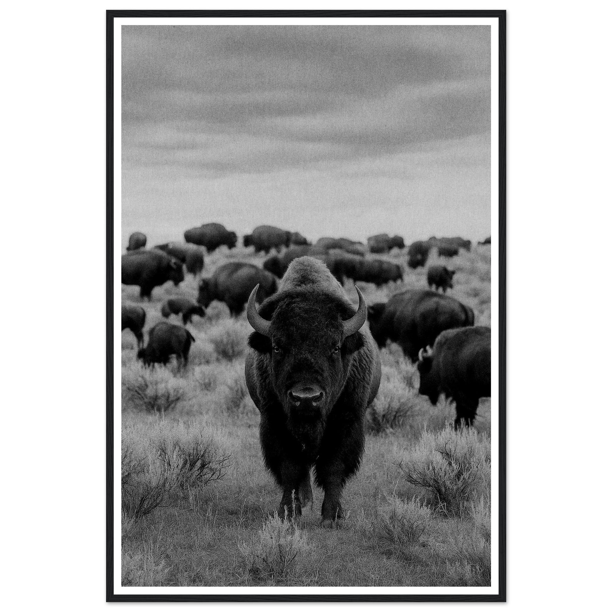 db2a8b90-bd78-4d70-98ee-ec5684e3f17d