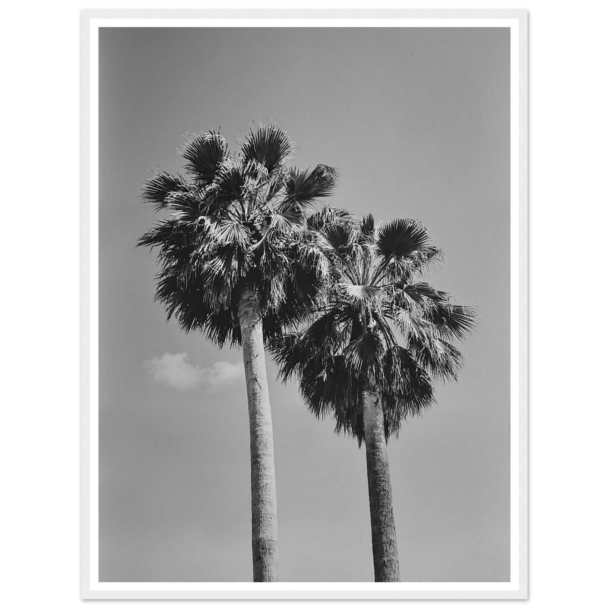 eab70e71-7caf-4670-97d4-9ef5720494fd