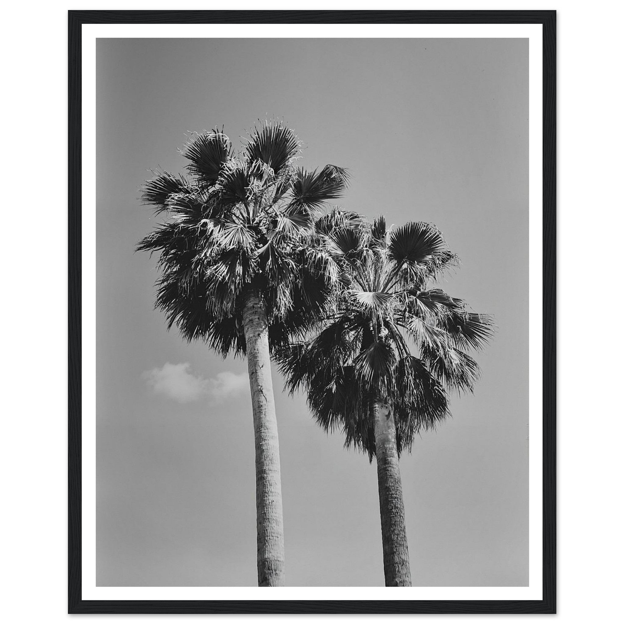 f7658b52-148f-4df8-b647-5631ef18711c