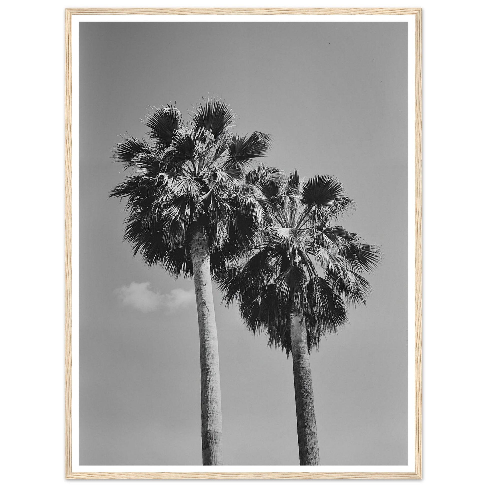 f86b5beb-5104-43fc-b4a6-71400cf4cf6e