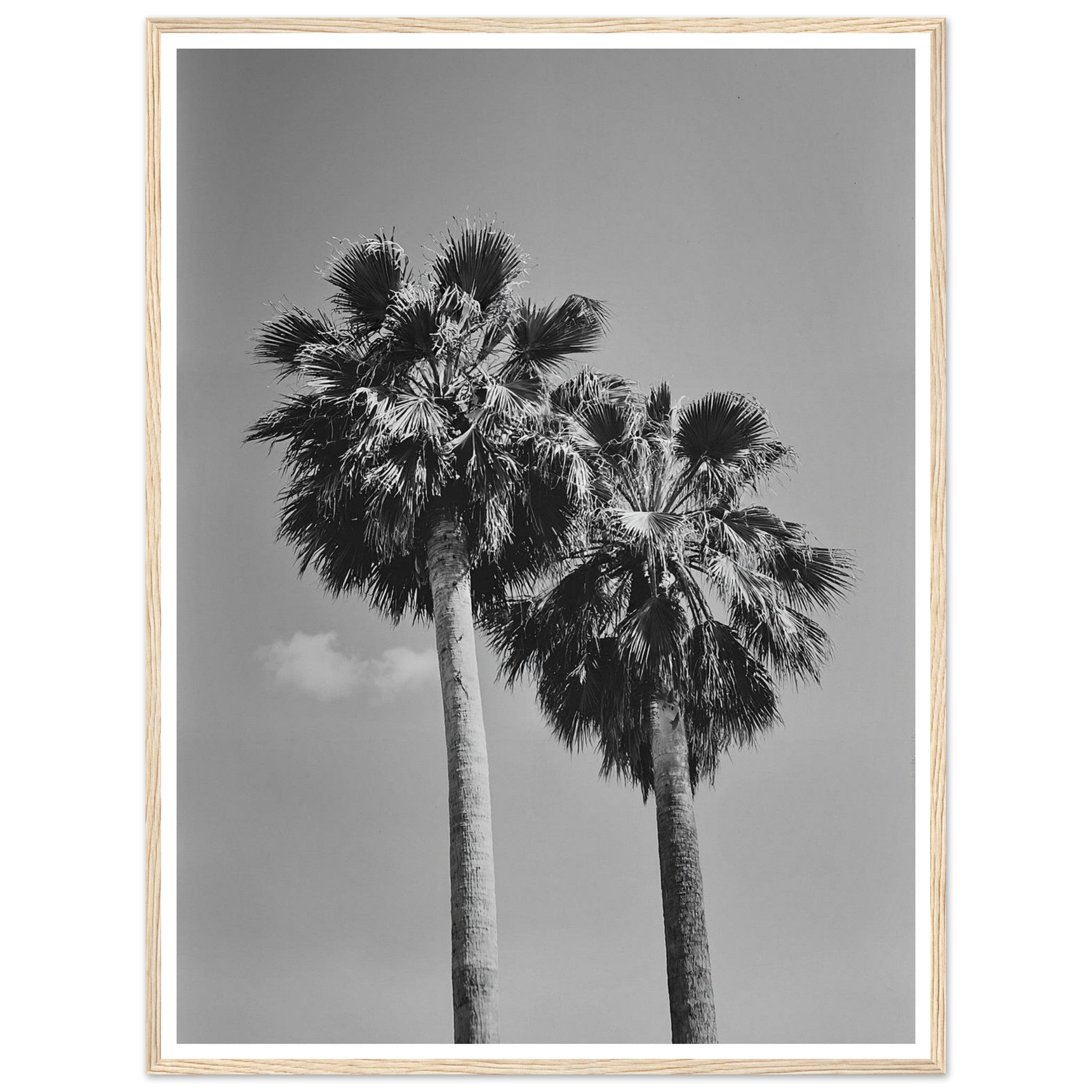 f86b5beb-5104-43fc-b4a6-71400cf4cf6e